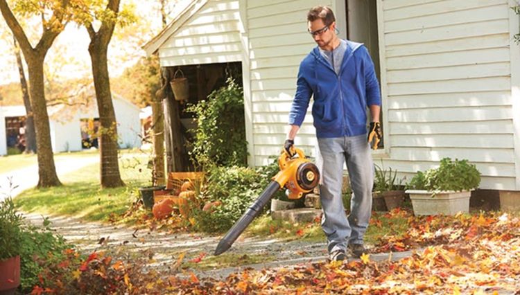 How Using A Leaf Blower Can Be Fun During Work? - UrbanFarmOnline.com