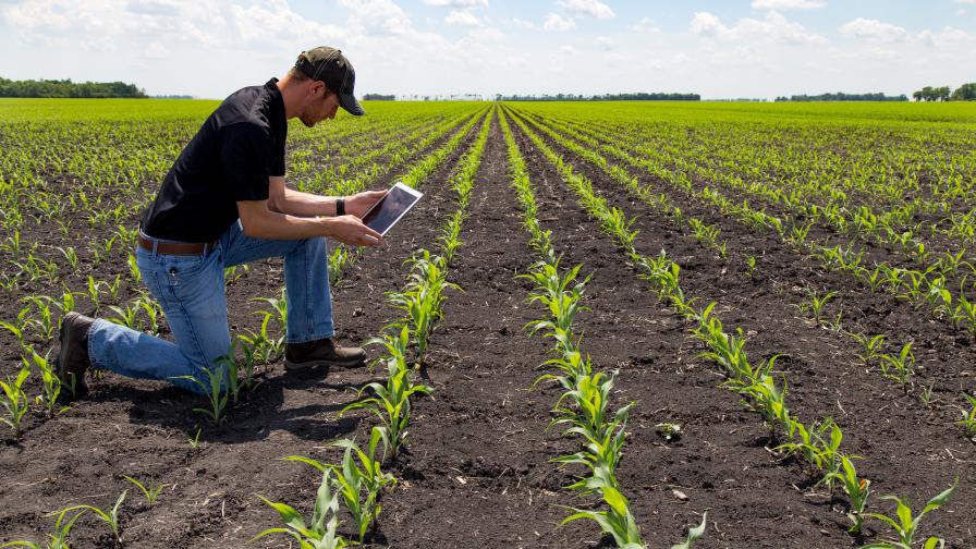 Technologies Behind Crop Scouting Urban Farm Online