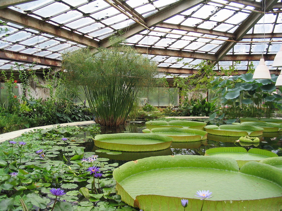 the-world-s-largest-victorian-greenhouse-reopens-its-doors