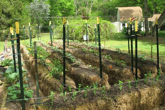 Why Is A Hay-Bale Garden The Great Thing To Start? - Urban Farm Online