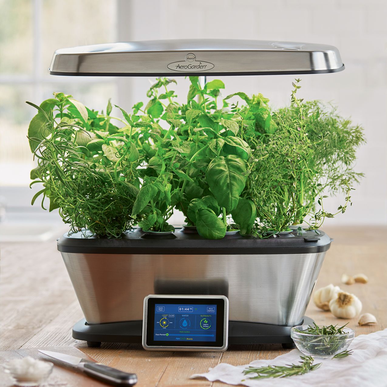 These Are The 14 Indoor Smart Garden Ideas That You Need to Know About