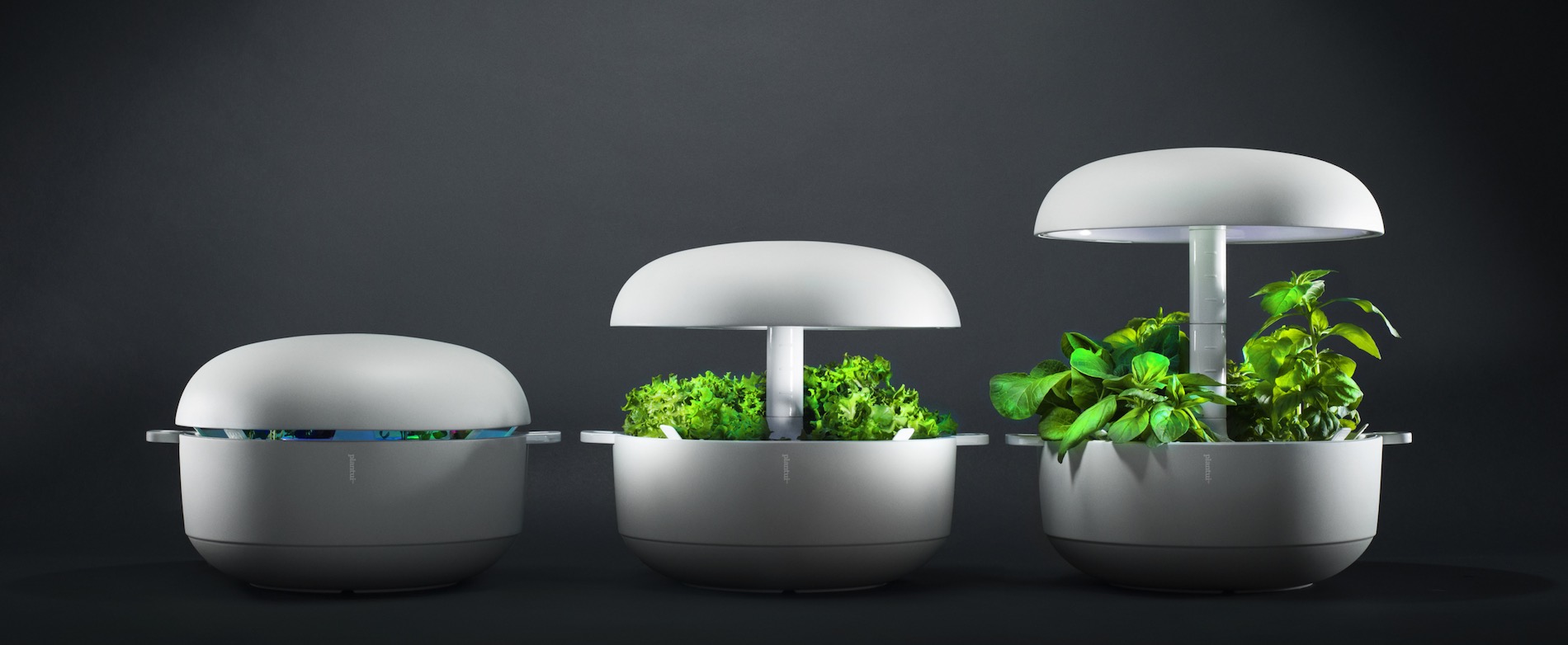 These Are The 14 Indoor Smart Garden Ideas That You Need To Know About ...