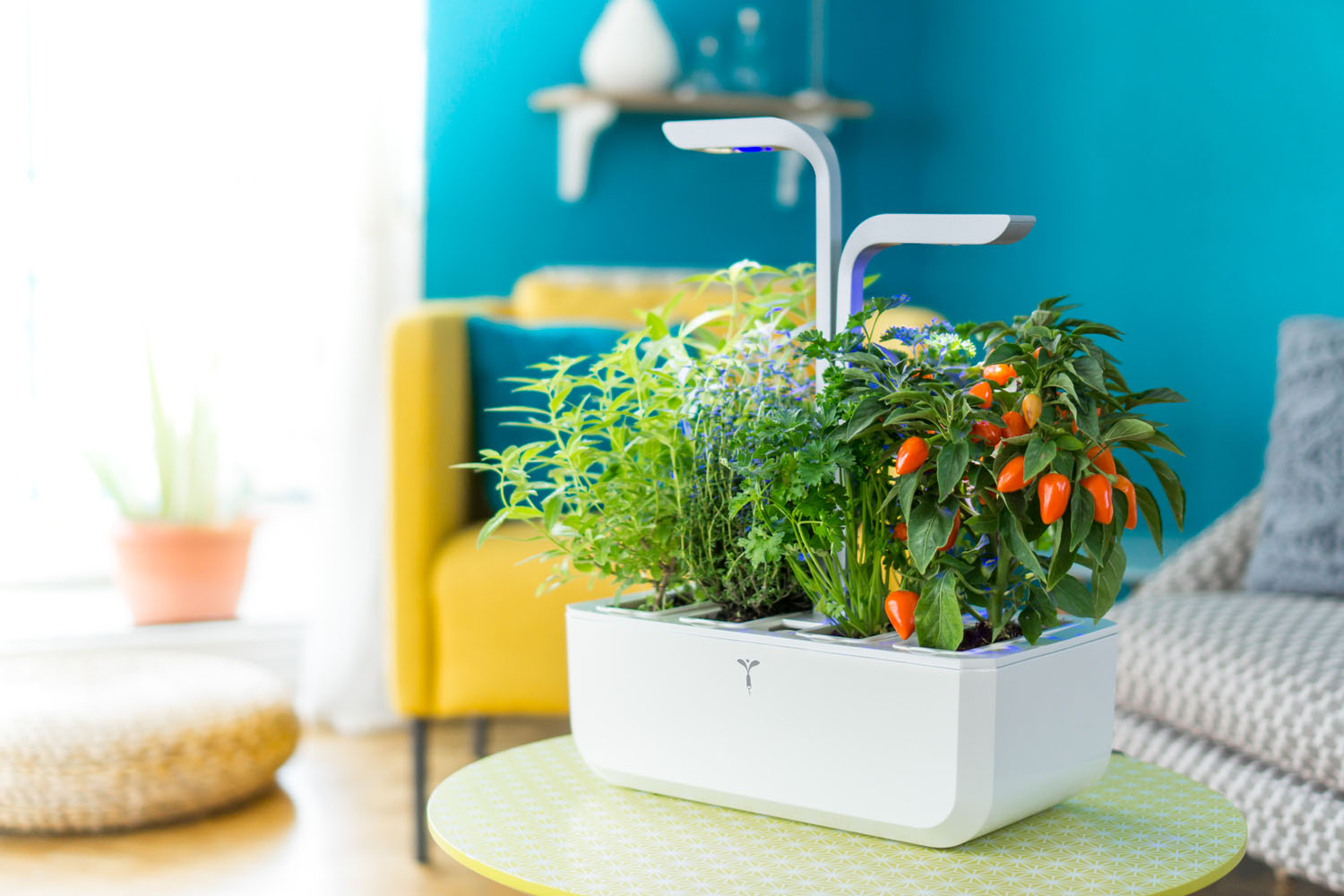 These Are The 14 Indoor Smart Garden Ideas That You Need to Know About