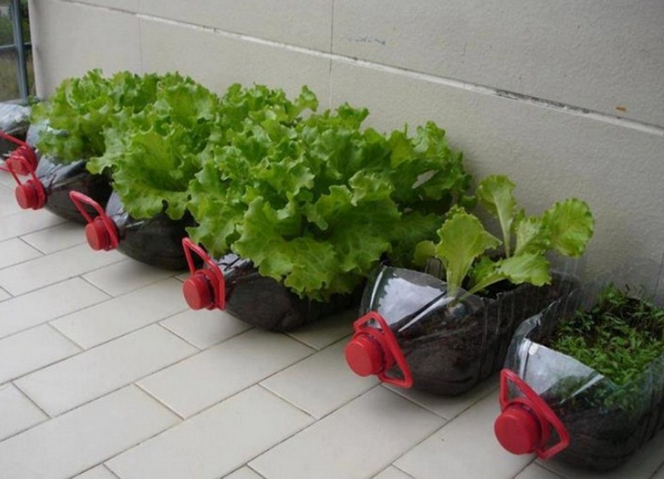 Is Growing Food In Plastic Containers A, Vegetable Garden In Plastic Containers