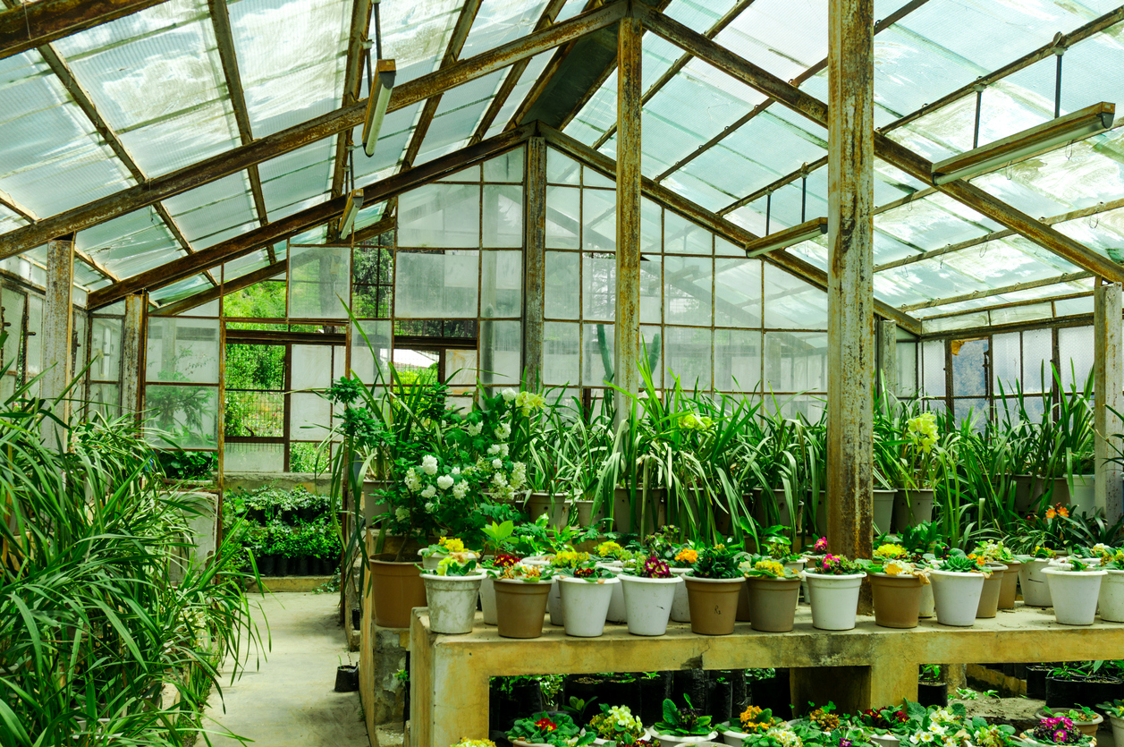 The Lean to Greenhouses And Their Benefits Urban Farm Online