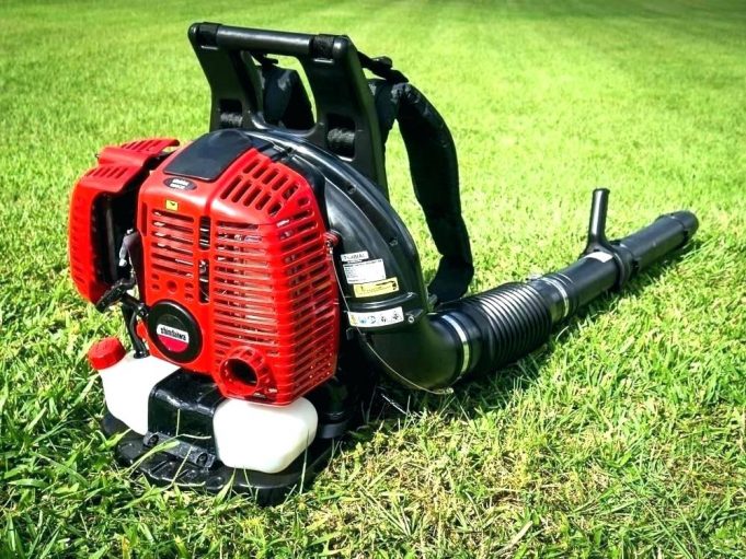 What is the best leaf blower on the market in 2019 - UrbanFarmOnline.com