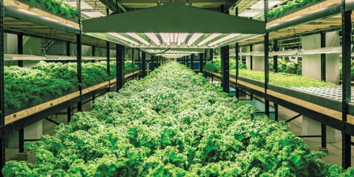 Can manure be used in aquaponics The World’s Biggest Vertical Farm Yet Is Going Up in Pennsylvania