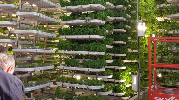 hydroponic farming at home download