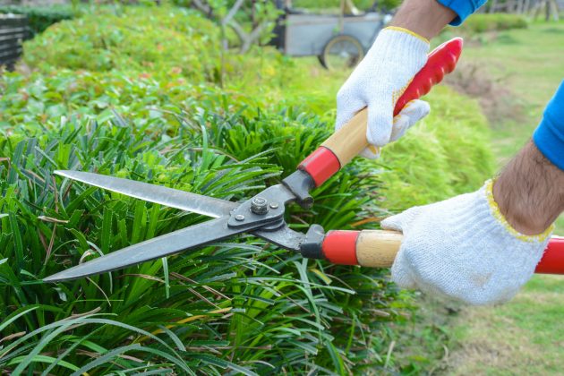 7 Essential Yard Care Tools Every Home Should Have - Urban Farm Online