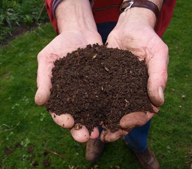 7 Benefits Of Putting Topsoil On Your Lawn 2024 Guide Urban Farm Online   Topsoil 640x563 