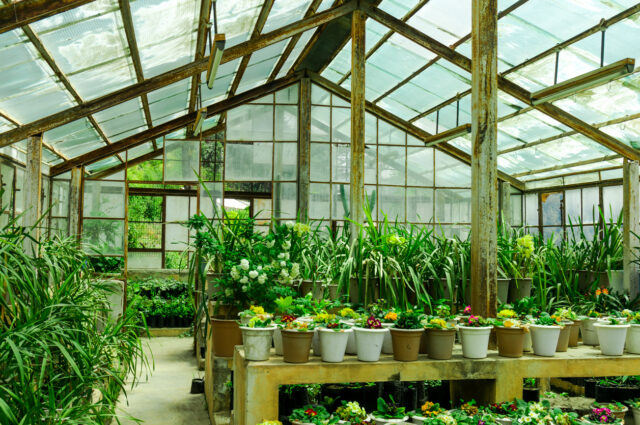 What is the Perfect Greenhouse Size? - Urban Farm Online