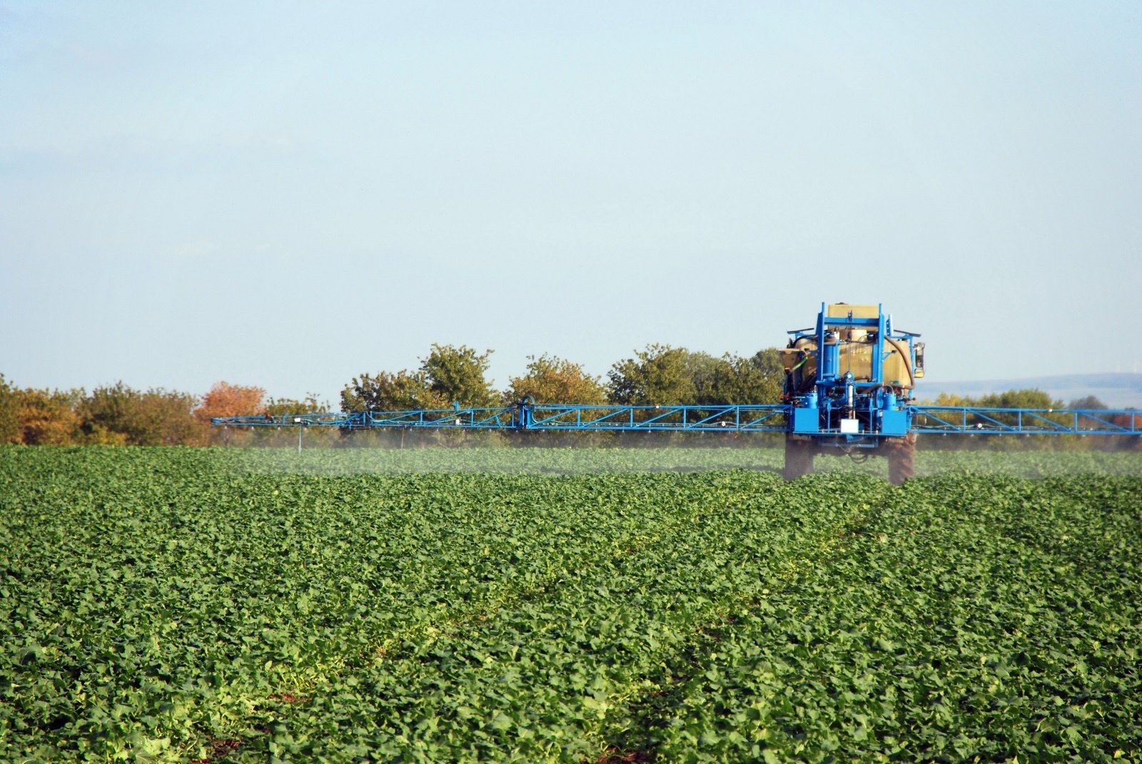 Chemical Farming versus Organic Farming. Comparing the Impact on Human ...