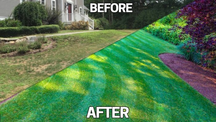 7 Landscaping Tips on How To Fix An Ugly Lawn - Urban Farm Online